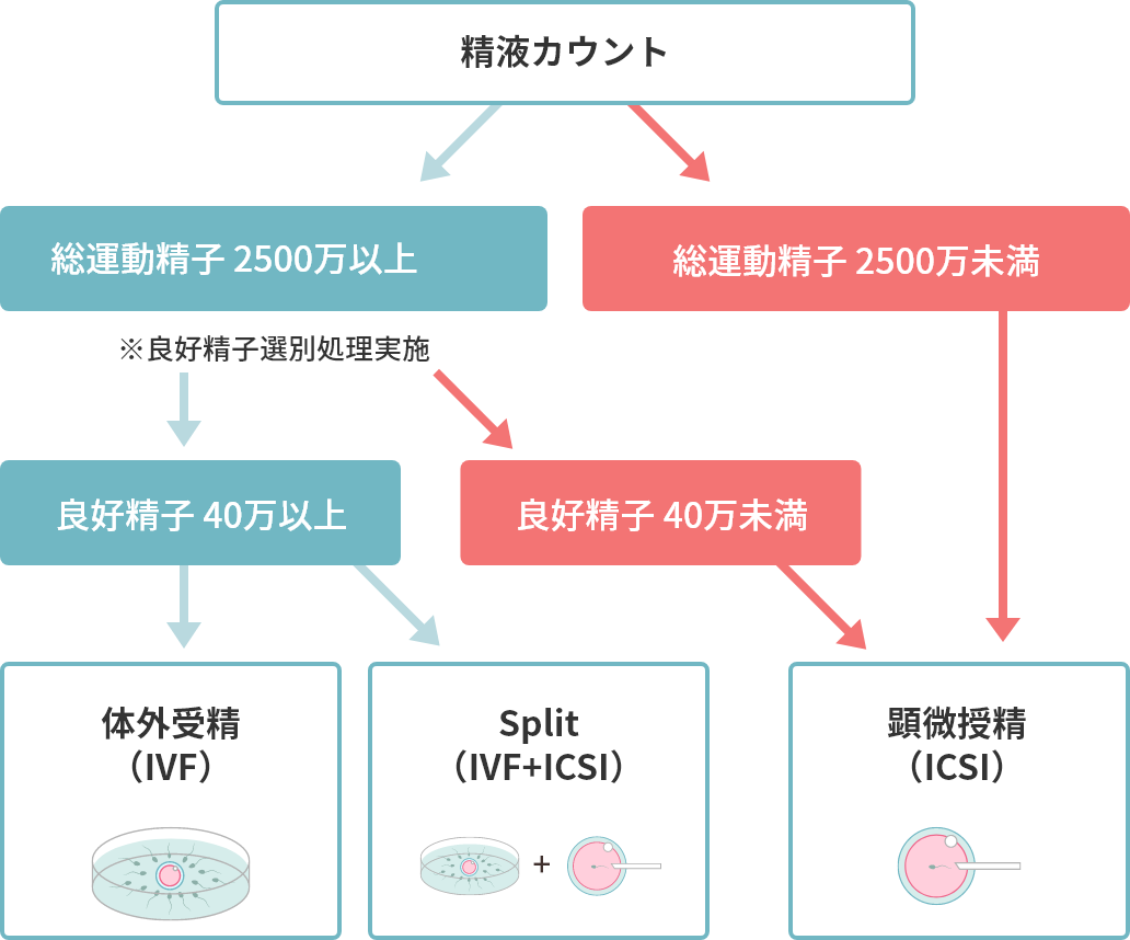 採卵当日の流れ